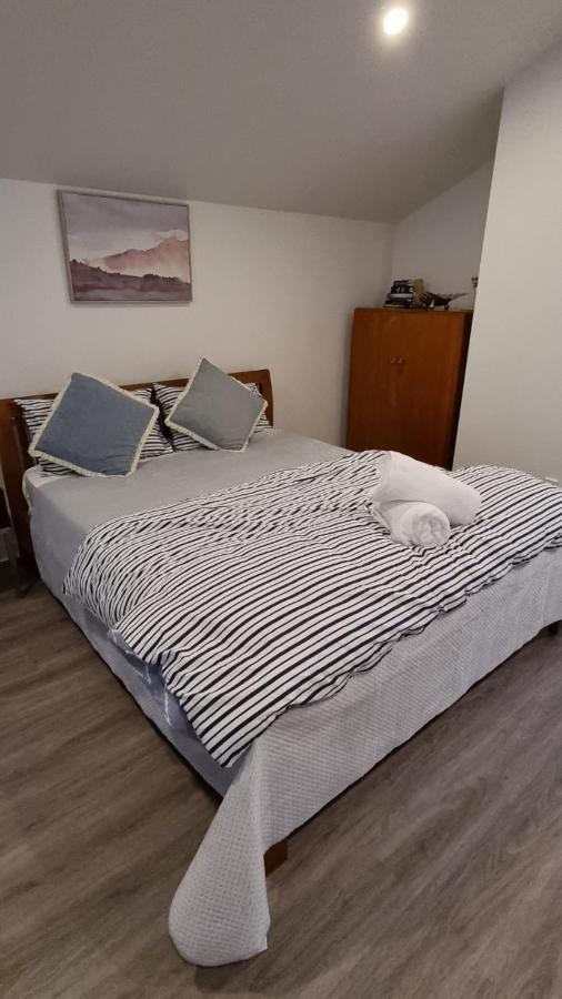 Modern & Cosy Studio Unit On Island Bay Beachfront 惠灵顿 外观 照片